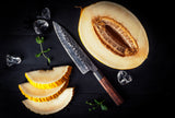 Shibui™ - 8.5 inch Japanese Gyuto Knife