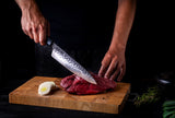 Shibui™ - 8.5 inch Japanese Gyuto Knife